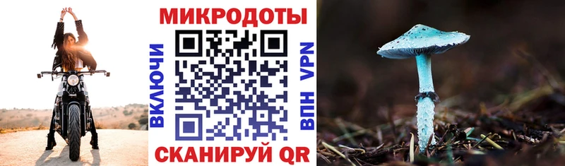 Галлюциногенные грибы Psilocybe  Купить где  Сарапул 